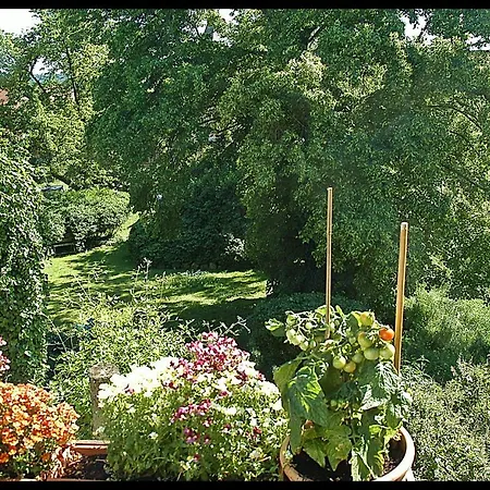 Casa Pinus Sol